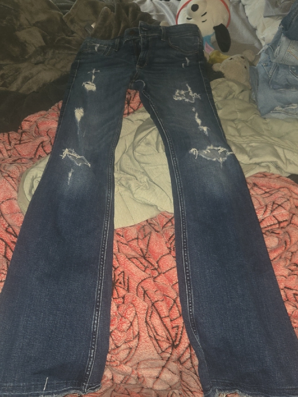 Hollister Flare
